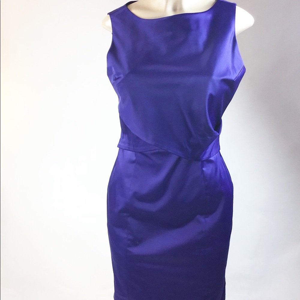 Talbots Purple‎ Sleeveless Sheath elegant satin Dress size 10P